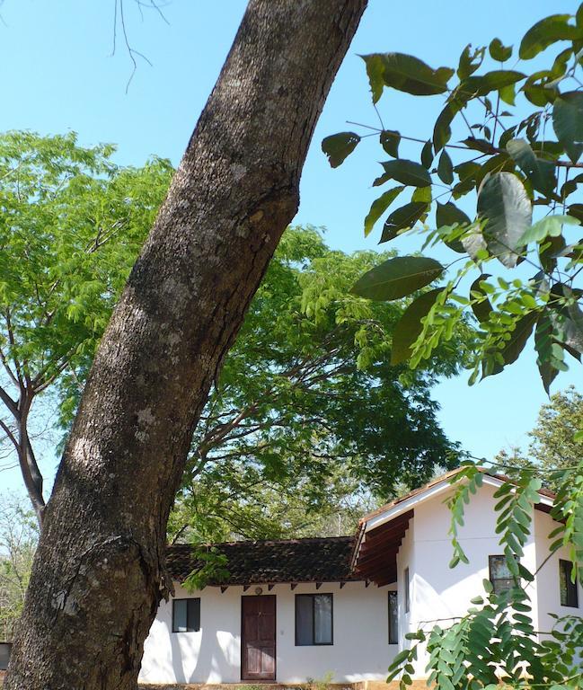 Finca Buena Fuente Residence Hotel Nicoya Esterno foto