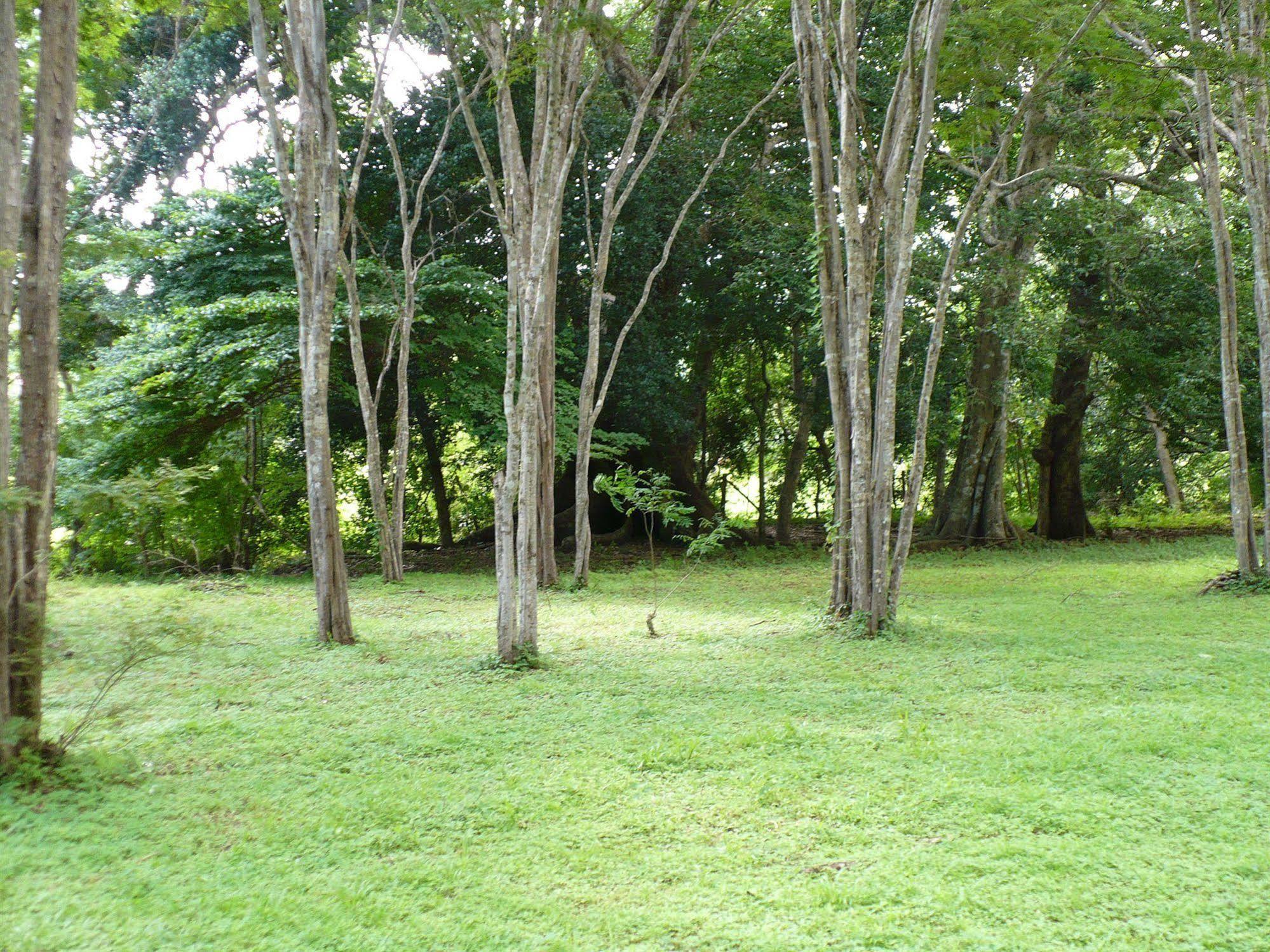 Finca Buena Fuente Residence Hotel Nicoya Esterno foto